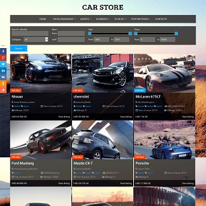OS Car Store 