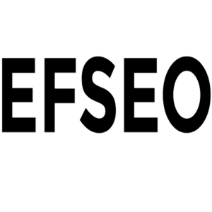 EFSEO - Easy Frontend SEO Pro 