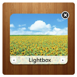 Jtag Lightbox 