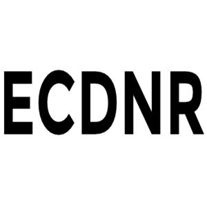 ecdnr-easy-cdn-rewrite