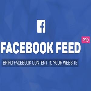 facebook-feed-1