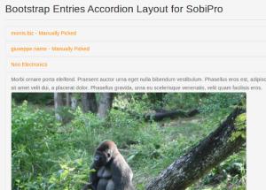SobiPro Search+ (Plus) 