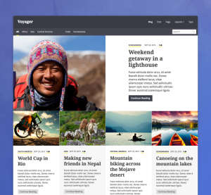 EasySocial Voyager Template 